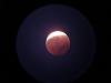 DSC03471a.jpg