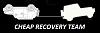 Cheap recovery Team.jpg