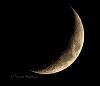 IMG_1661a.jpg