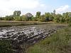 My Mud Bog..jpg