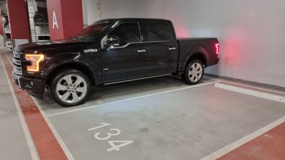 Rishi F150 Platinum