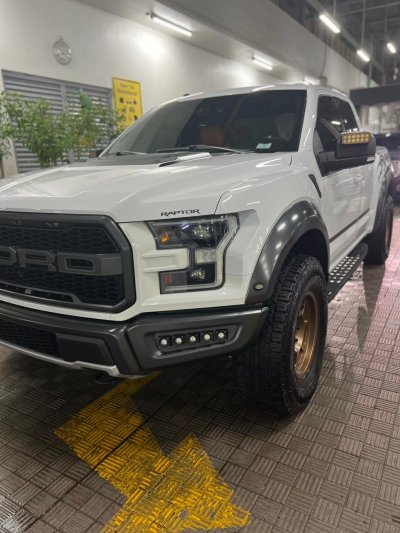 Raptor