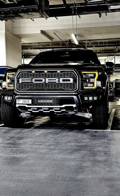 Raptor