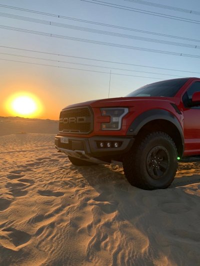 Raptor